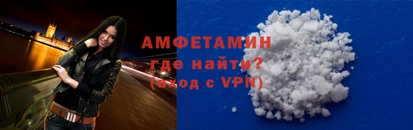 шишки Краснослободск
