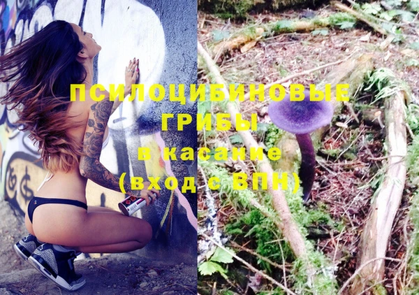 шишки Краснослободск