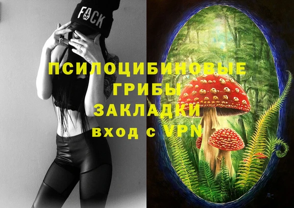 не бодяженный Красноперекопск