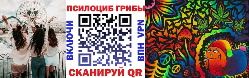 Псилоцибиновые грибы мицелий  закладки  Сертолово 