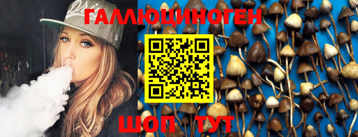 Псилоцибиновые грибы Psilocybe Сертолово