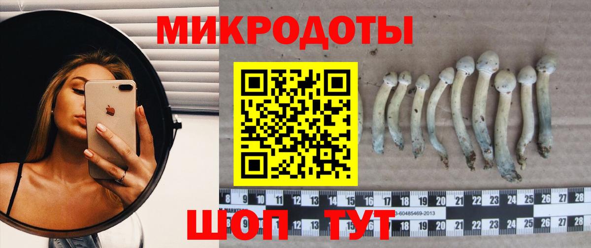Галлюциногенные грибы Cubensis  Галлюциногенные грибы ЛСД  Вход с VPN  Сертолово 